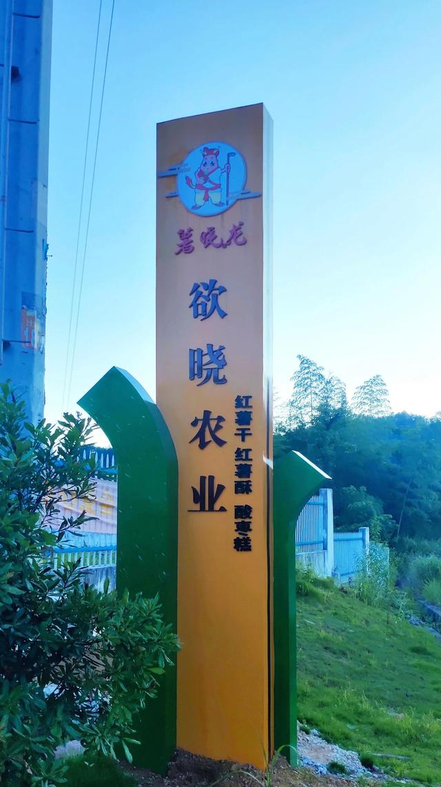 初中暑假周记素材（好的周记素材）