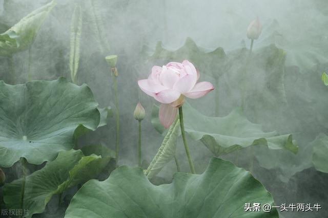 一个有着女孩名字的男人，告别了微信群