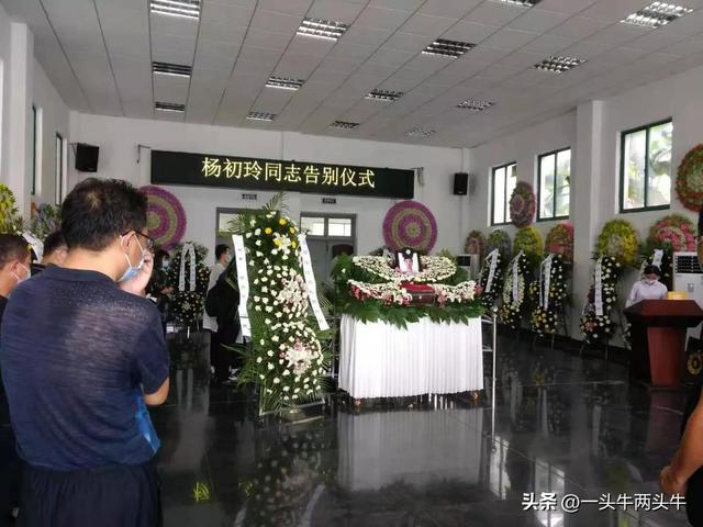 一个有着女孩名字的男人，告别了微信群